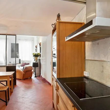 Charming And Large Duplex Flat With Beautiful Terrace In *