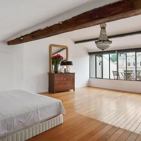 Charming And Large Duplex Flat With Beautiful Terrace In * Avignon